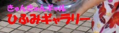 Ђӂ݃M[