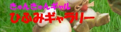 Ђӂ݃M[