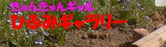 Ђӂ݃M[